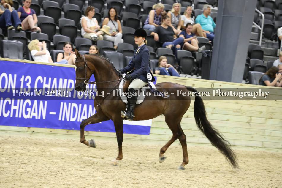 Proof 22R13_09814