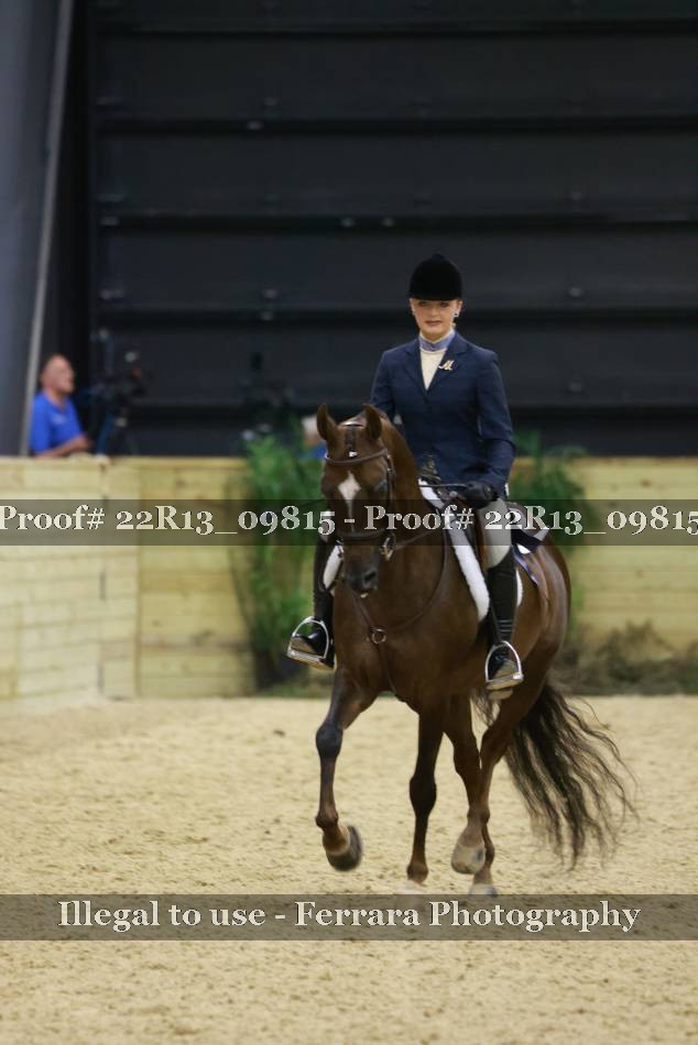 Proof 22R13_09815