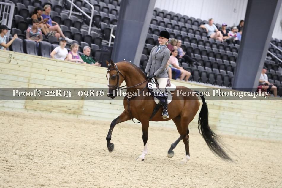 Proof 22R13_09816