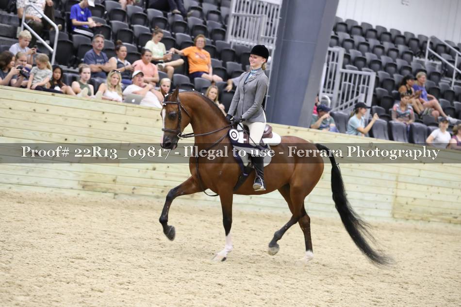 Proof 22R13_09817