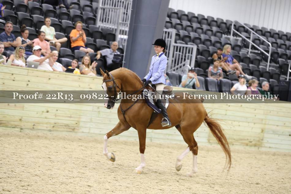 Proof 22R13_09822