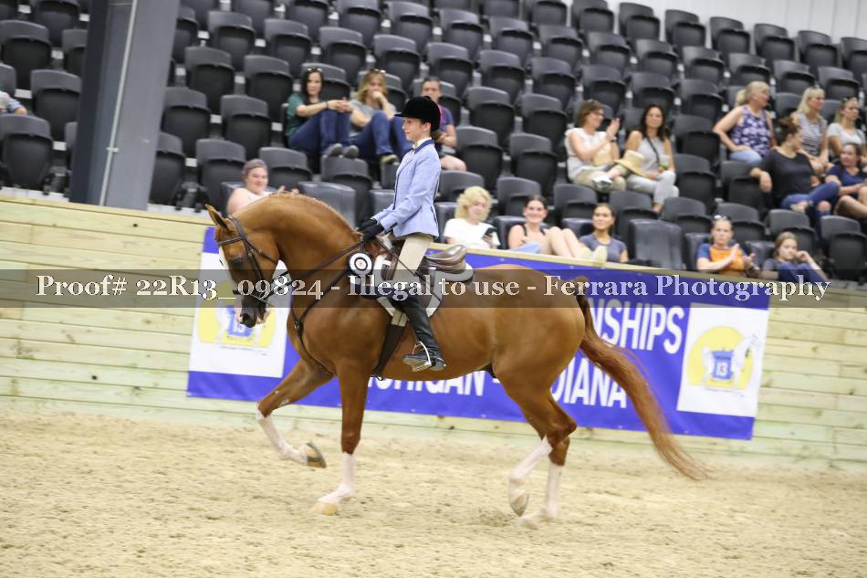 Proof 22R13_09824