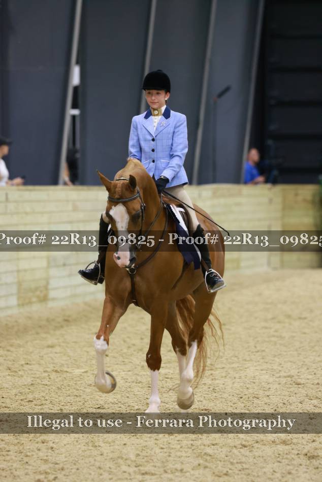 Proof 22R13_09825