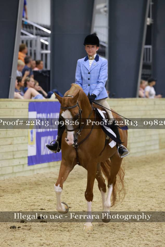 Proof 22R13_09826