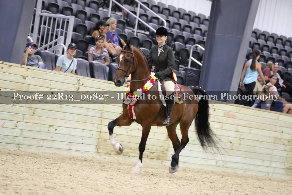 Proof 22R13_09827