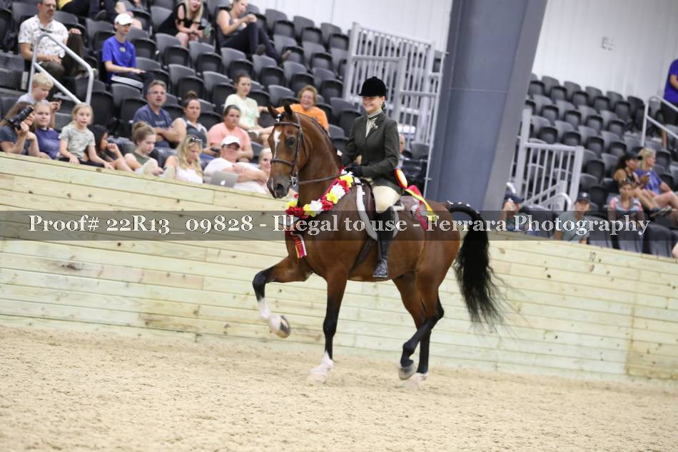 Proof 22R13_09828