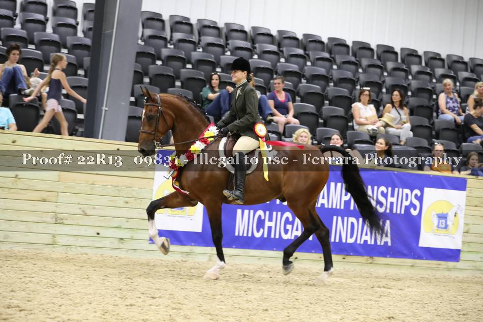 Proof 22R13_09831