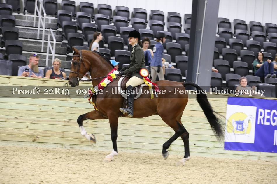Proof 22R13_09832