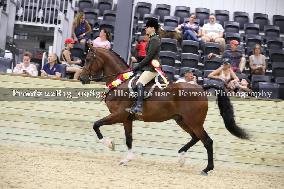 Proof 22R13_09833