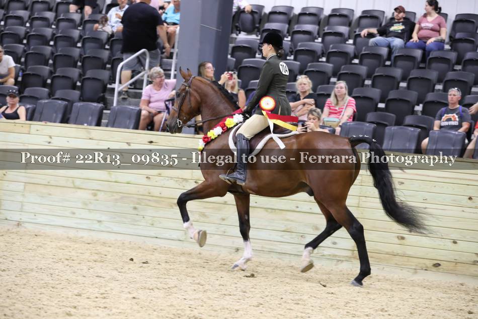 Proof 22R13_09835