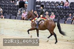 22R13_09835 proof