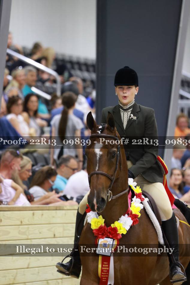 Proof 22R13_09839