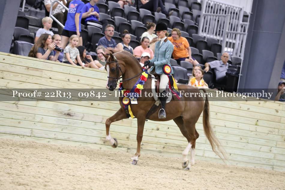 Proof 22R13_09842