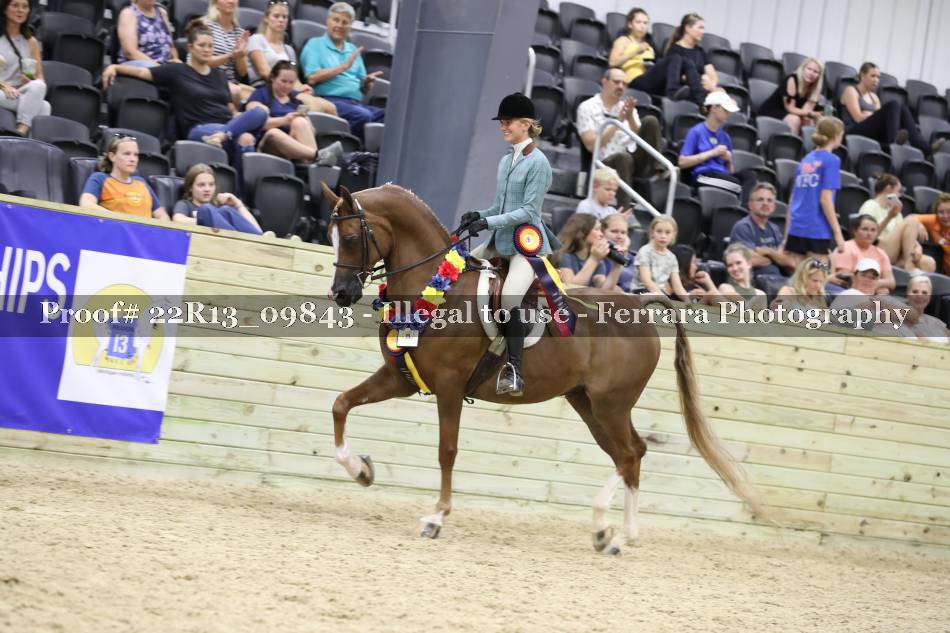 Proof 22R13_09843