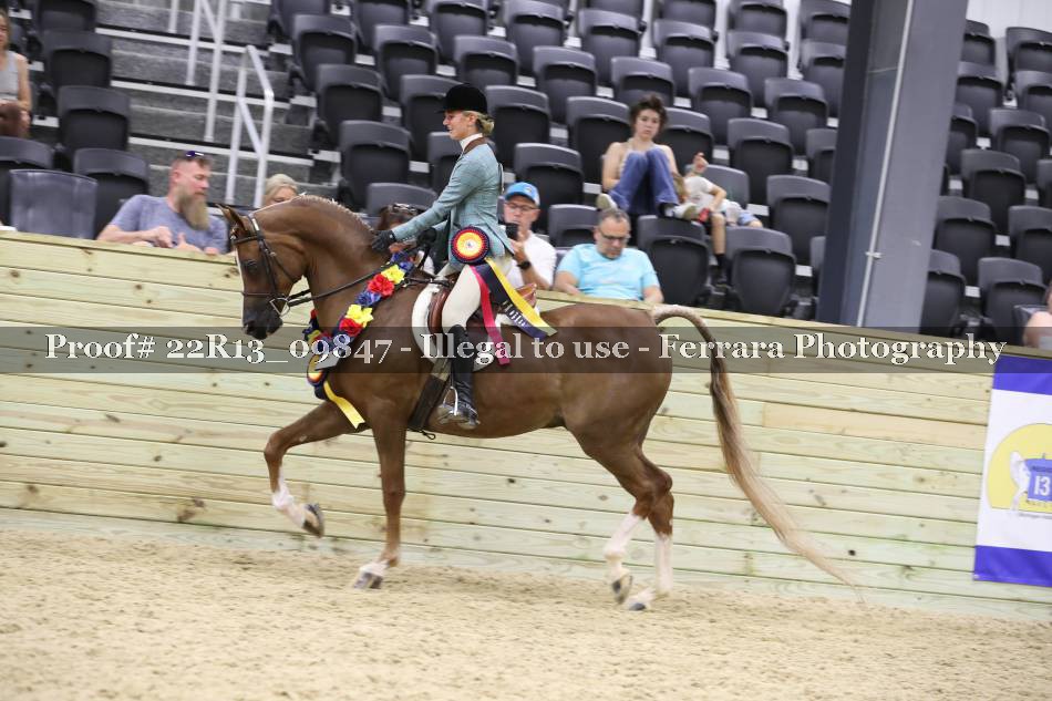 Proof 22R13_09847