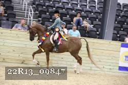 22R13_09847 proof