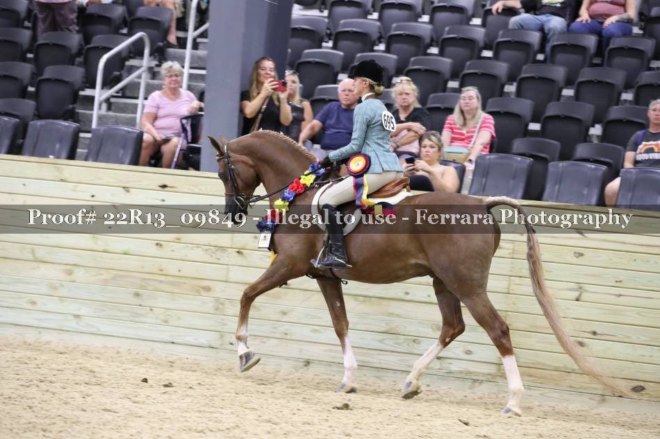 Proof 22R13_09849