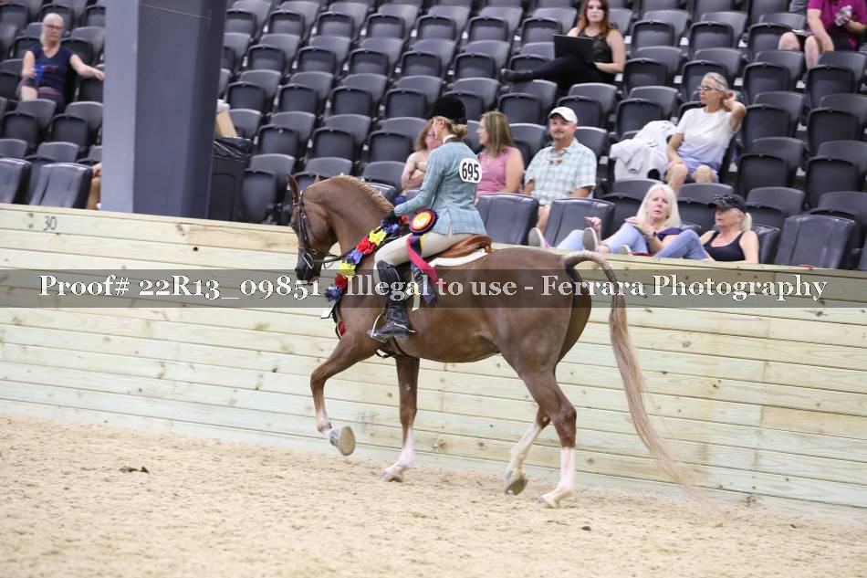 Proof 22R13_09851
