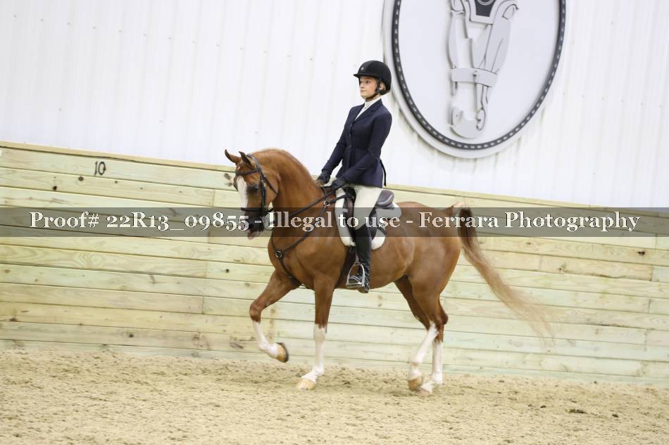 Proof 22R13_09855