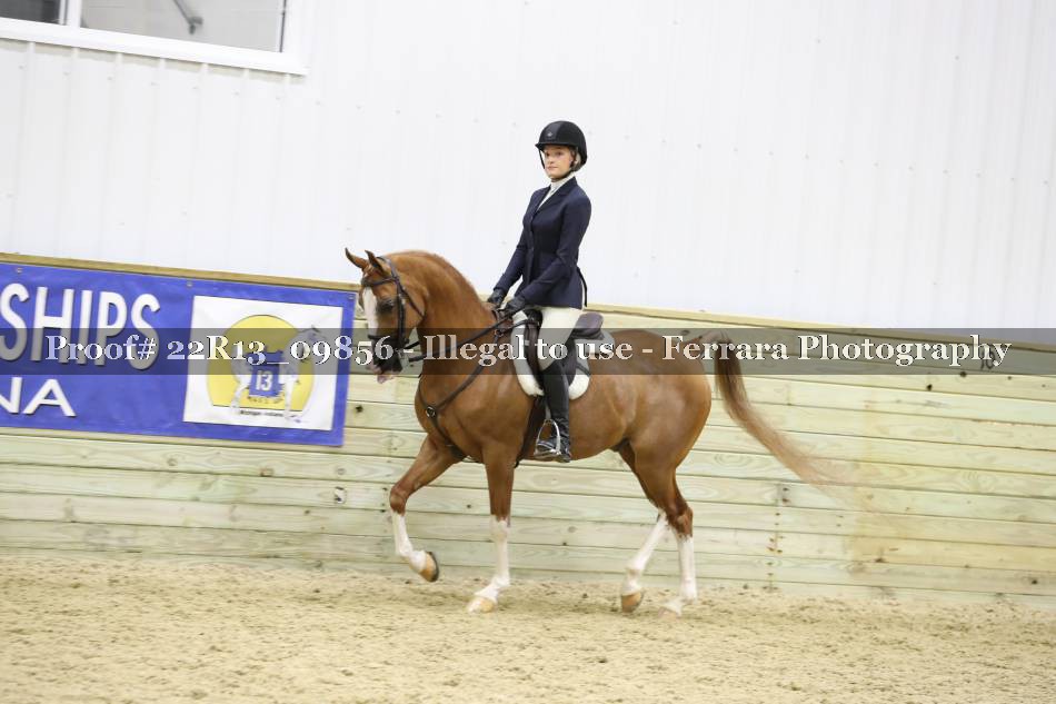 Proof 22R13_09856