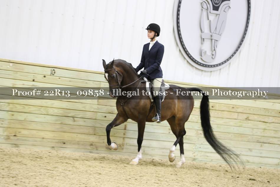 Proof 22R13_09858