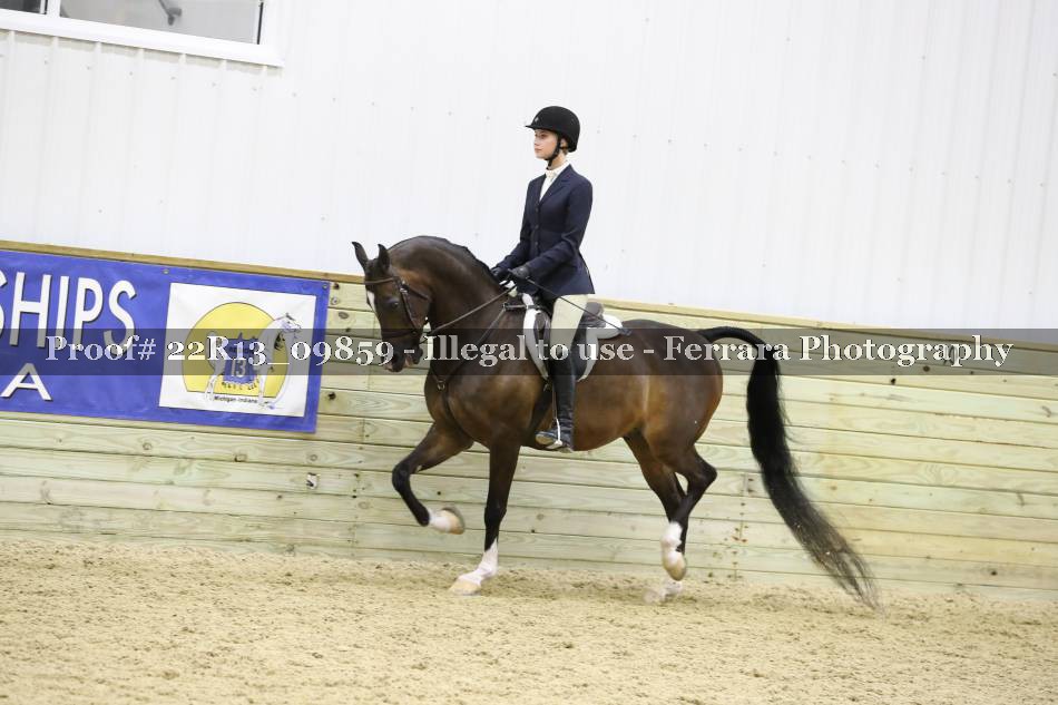 Proof 22R13_09859