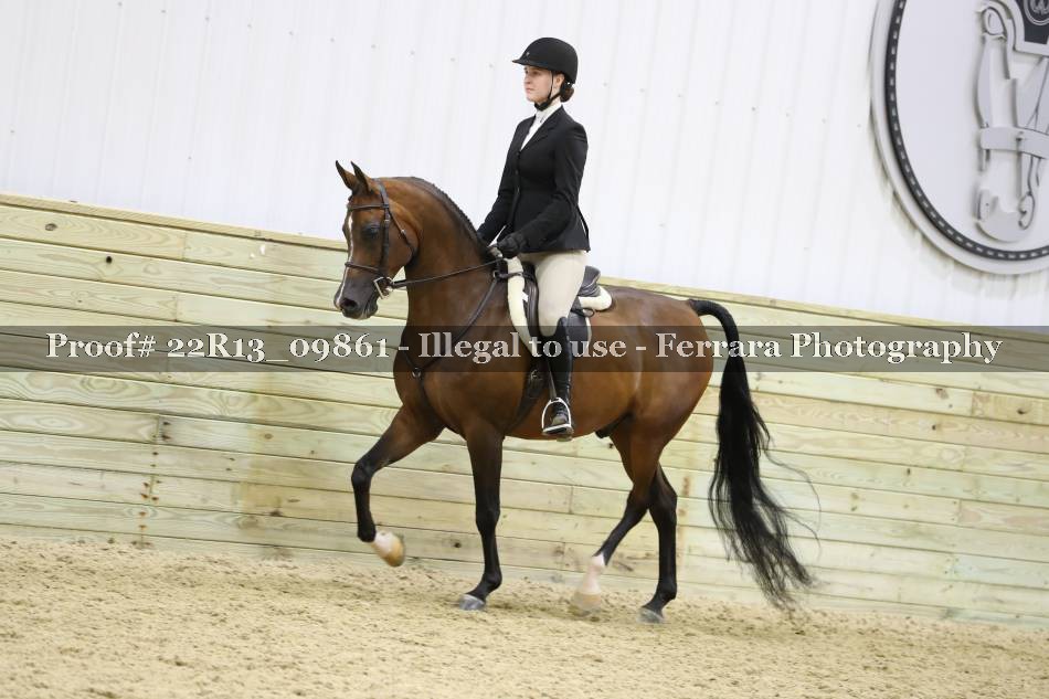 Proof 22R13_09861