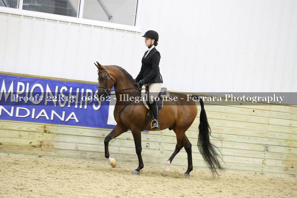 Proof 22R13_09862