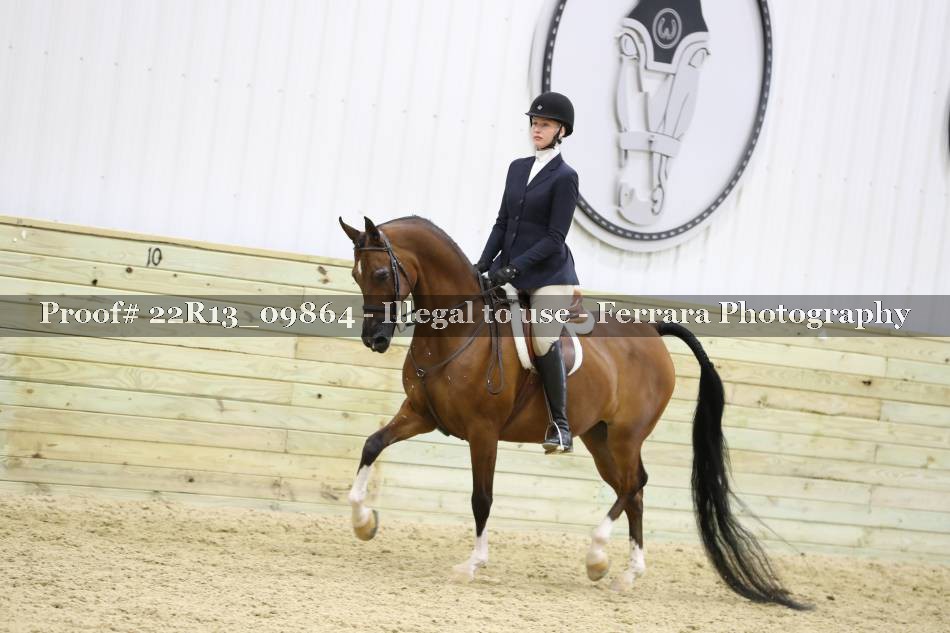 Proof 22R13_09864