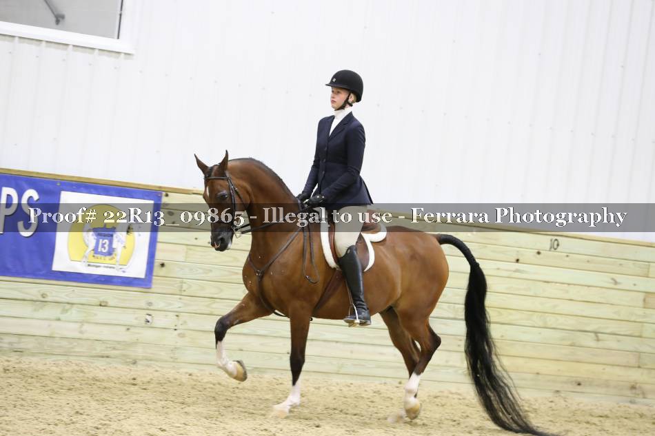 Proof 22R13_09865