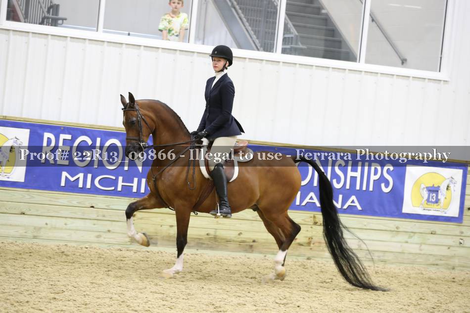 Proof 22R13_09866
