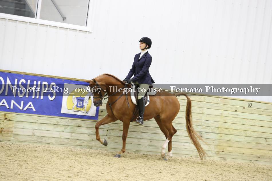 Proof 22R13_09867