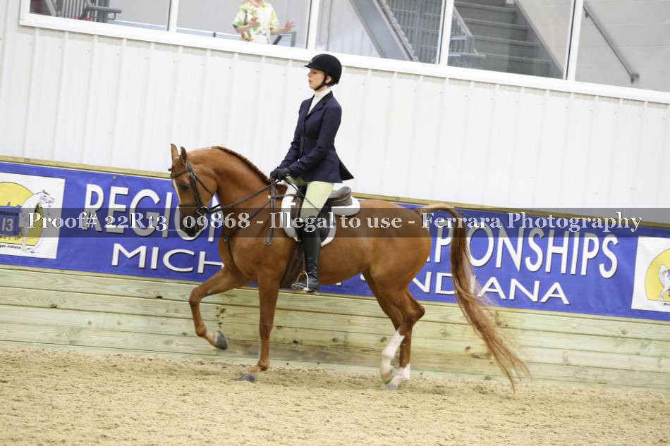 Proof 22R13_09868