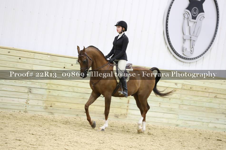 Proof 22R13_09869