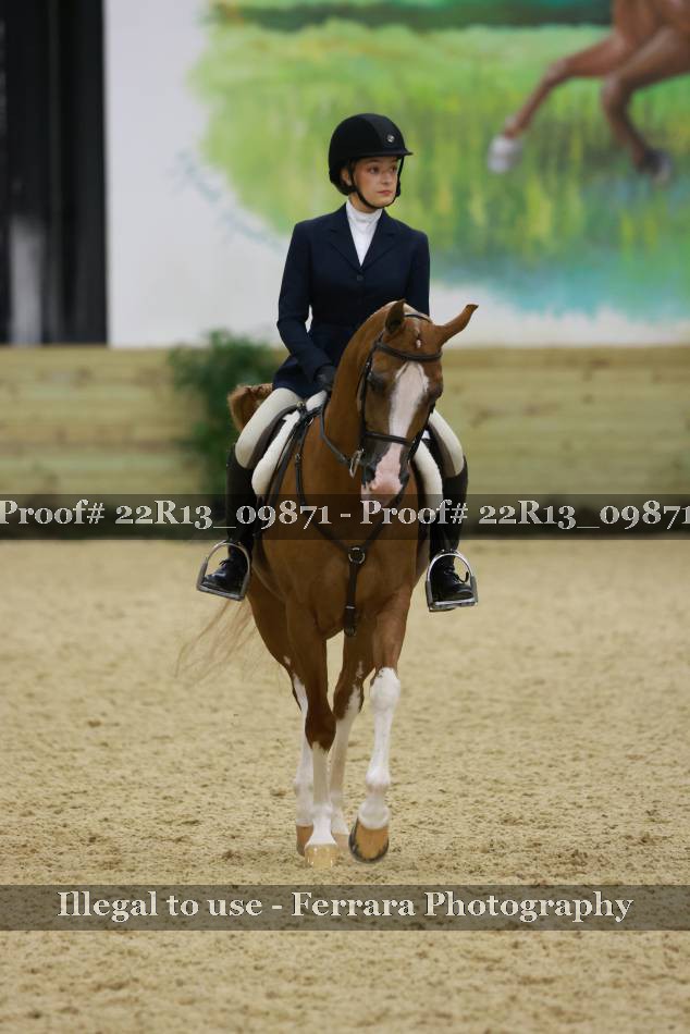 Proof 22R13_09871