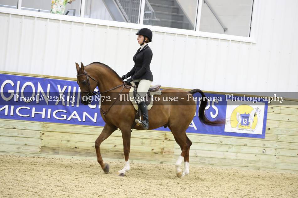 Proof 22R13_09872