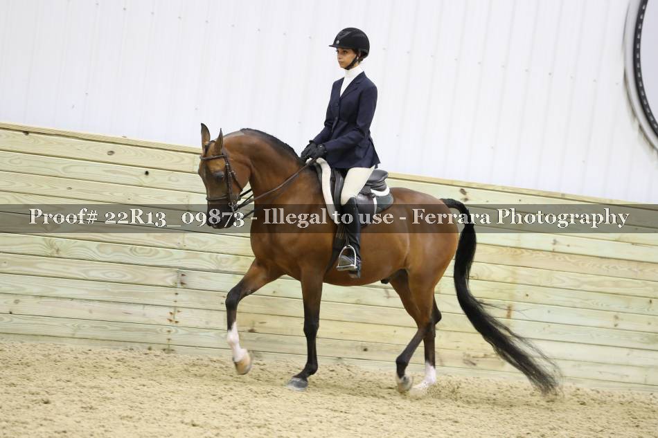 Proof 22R13_09873