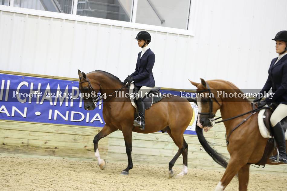 Proof 22R13_09874