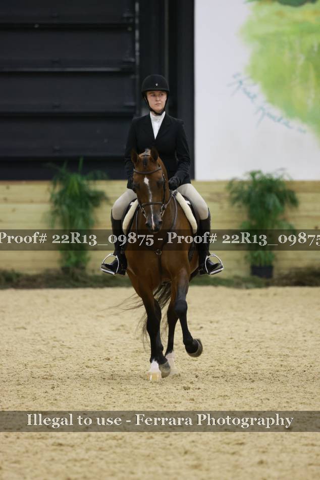 Proof 22R13_09875