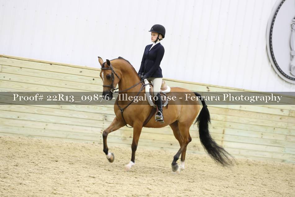 Proof 22R13_09876