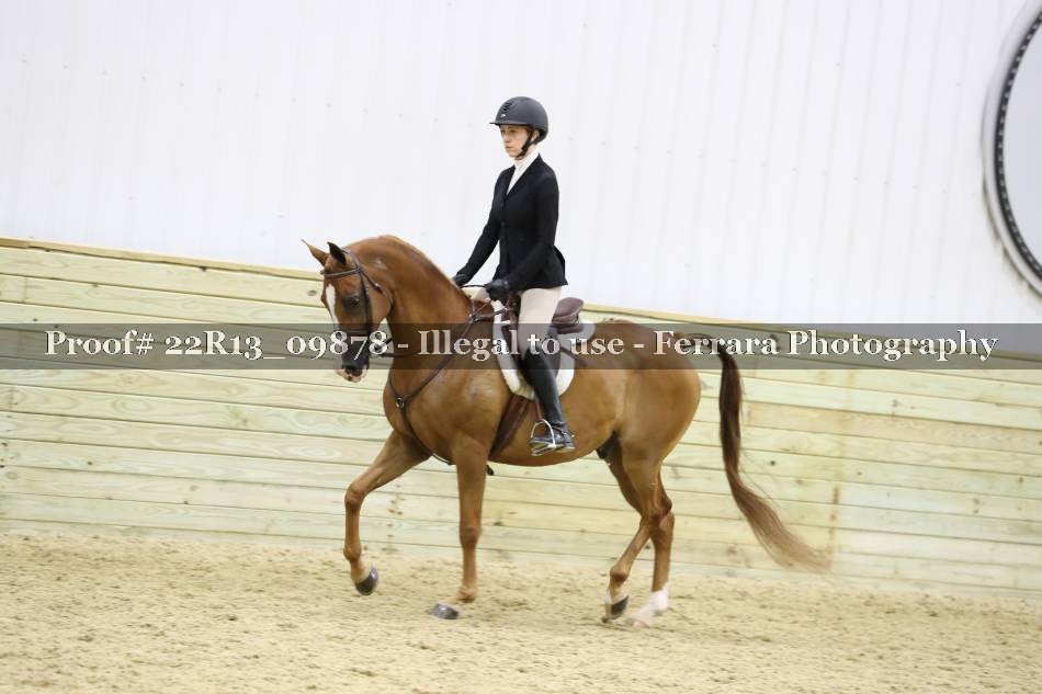 Proof 22R13_09878