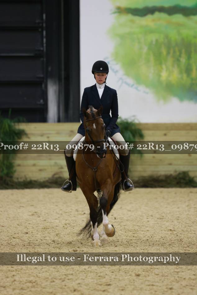 Proof 22R13_09879