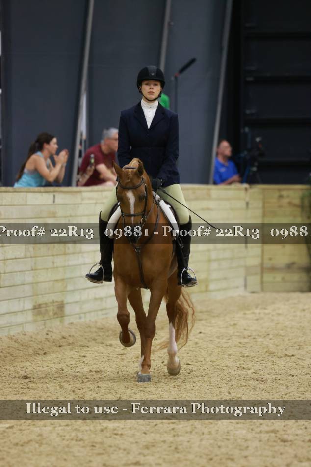 Proof 22R13_09881