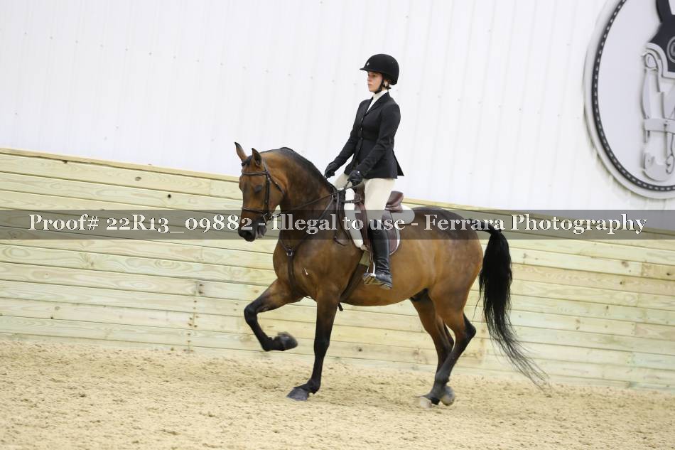 Proof 22R13_09882