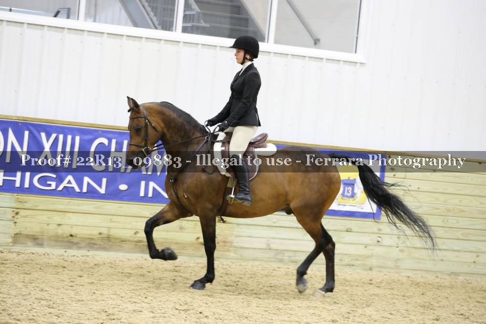 Proof 22R13_09883