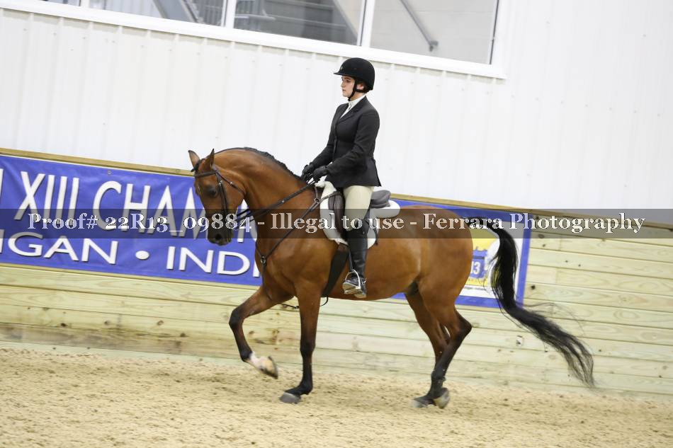 Proof 22R13_09884