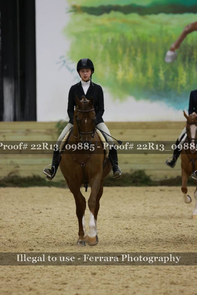 Proof 22R13_09885