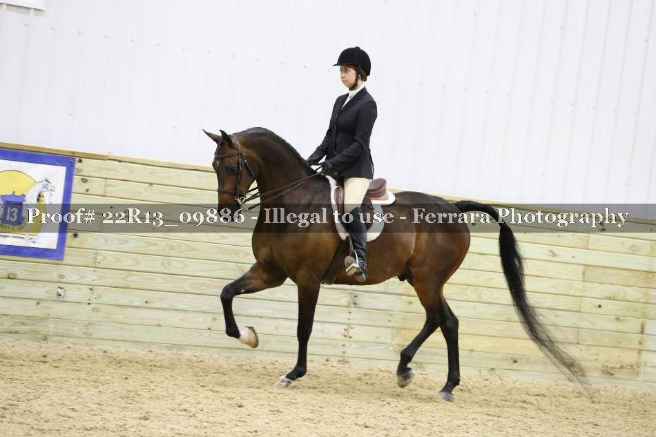 Proof 22R13_09886