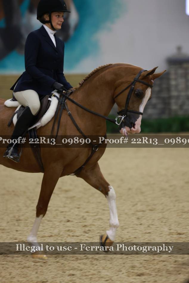 Proof 22R13_09890