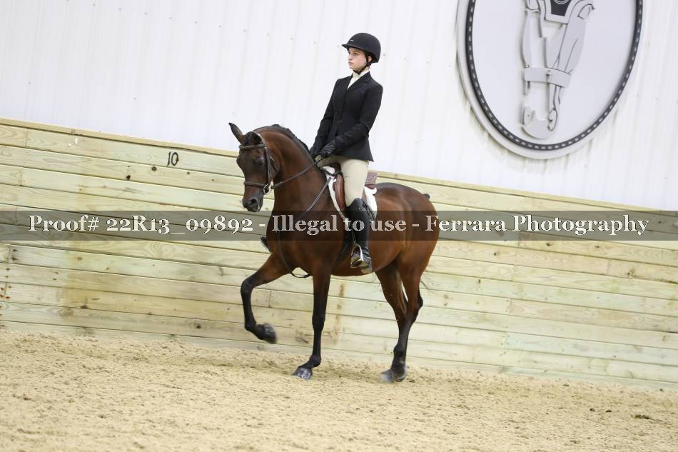 Proof 22R13_09892